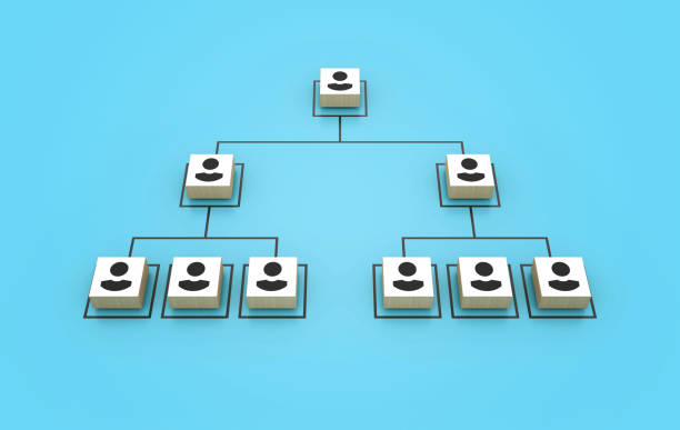 Our management process